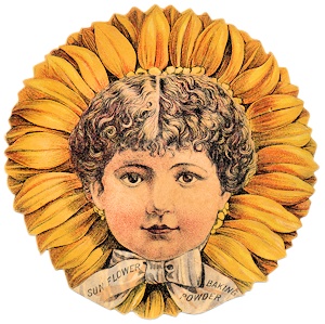 Sunflower baking powder advertising trade card